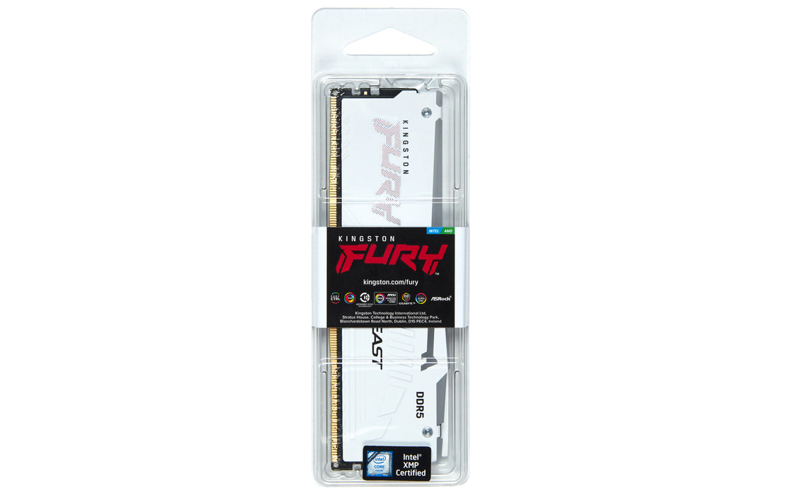 Kingston Technology FURY Beast RGB memory module