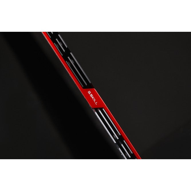 G.Skill Trident Z memory module