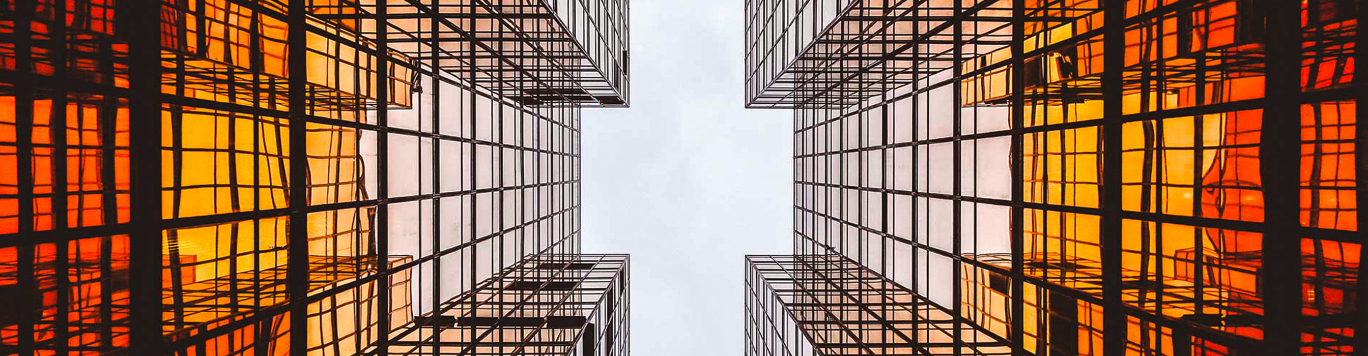 Monitor de computador AOC P1 X24P1/GR