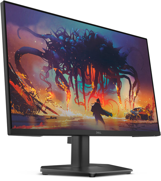 DELL SE2425HG LED display