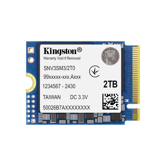 Kingston Tecnologia NV3